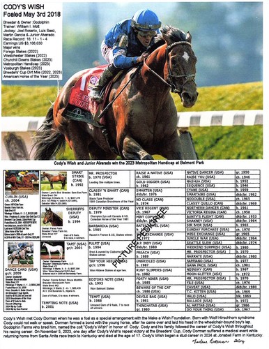 Cody wish race horse - race,